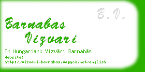 barnabas vizvari business card
