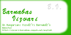 barnabas vizvari business card